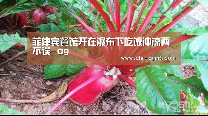 菲律宾餐馆开在瀑布下吃饭冲凉两不误-ag(图4) 菲律宾餐馆开在瀑布下吃饭冲凉两不误-ag(图4)