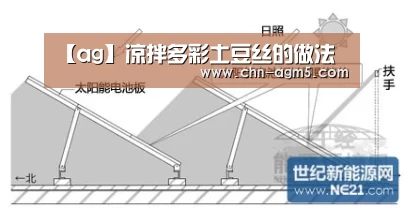【ag】凉拌多彩土豆丝的做法(图2) ag官网