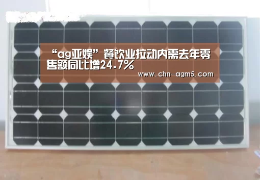 “ag亚娱”餐饮业拉动内需去年零售额同比增24.7%(图4) ag官网