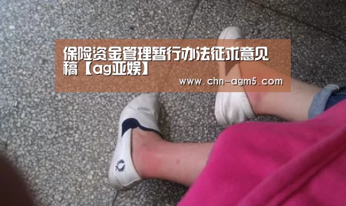 保险资金管理暂行办法征求意见稿【ag亚娱】(图3) ag亚娱